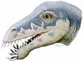 Masiakasaurus knopfleri Masiakasaurus knopfleri