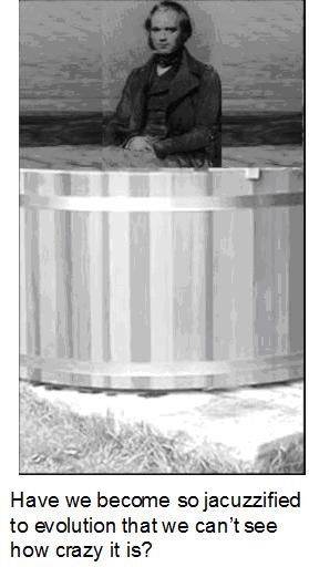 Darwin's jacuzzi Darwin's jacuzzi