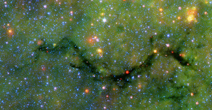 Snake in space Snake in space