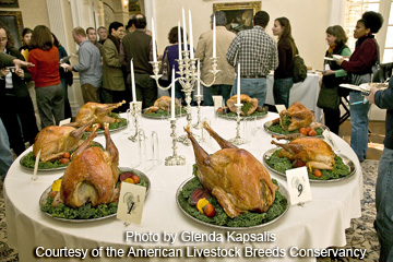 Turkey Tasting Turkey Tasting
