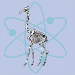 atomic giraffe atomic giraffe