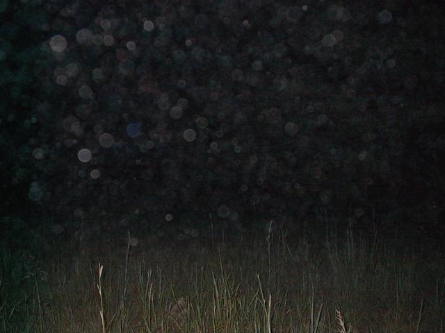 Dust Particle Orbs Dust Particle Orbs