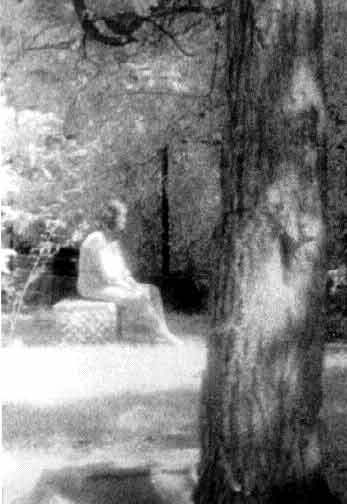 Bachelor's Grove Cemetery Ghost Photo Bachelor's Grove Cemetery Ghost Photo