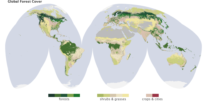 Global forest cover Global forest cover