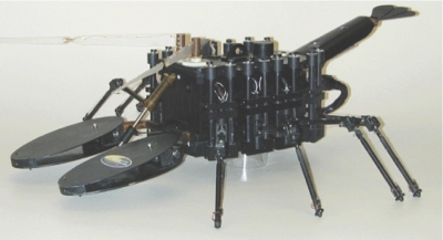 biomimetic lobster robot from Northeastern University photo of biomimetic lobster robot from Northeastern University