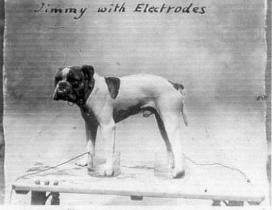 Jimmy with electrodes