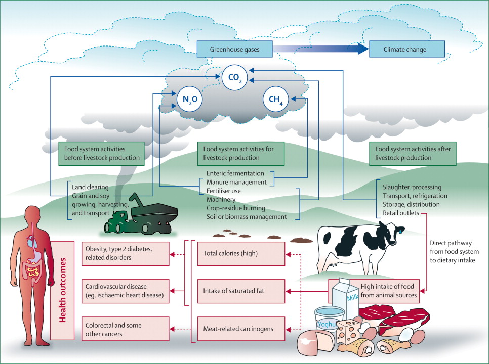 the Lancet (Food, Agriculture, Health, GHG Lifecycle) the Lancet (Food, Agriculture, Health, GHG Lifecycle)
