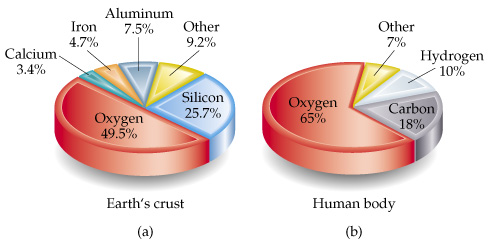 Mineral graph of earth and human body Mineral graph of earth and human body