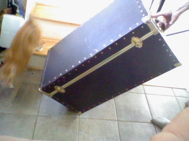 rolling trunk rolling trunk