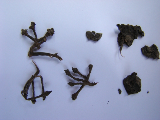 worlds oldest winery 6,100-year-old grape stems worlds oldest winery 6,100-year-old grape stems