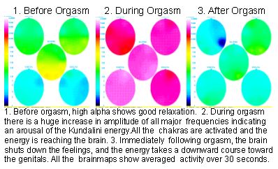 photo courtesy of newbrainnewworld.com Brainmapping The Orgasm