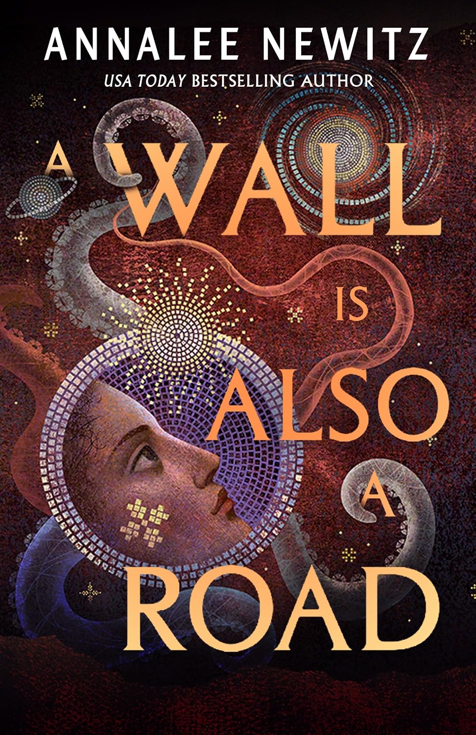 a_wall_is_also_a_road_annalee_newitz