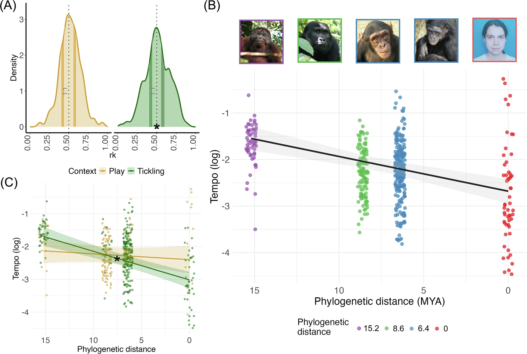 evolution_of_temporal_patterns_of_laughter_in_hominids