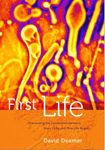 Dave Deamer First Life Dave Deamer First Life