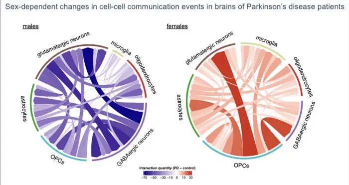 cell-cell_communication_plot_showing_how_different_brain_cells_communicate