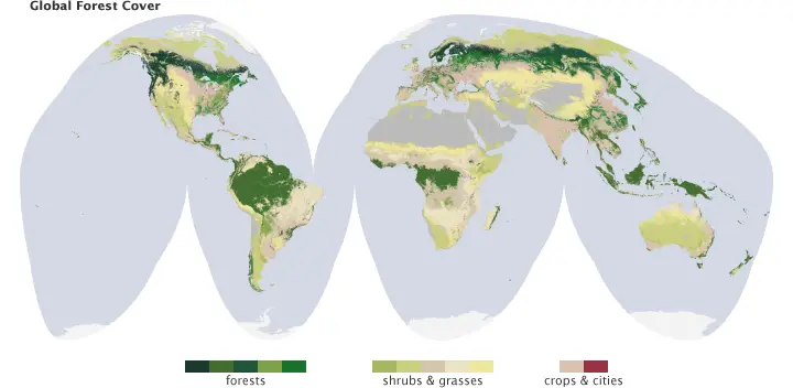 Global forest cover Global forest cover