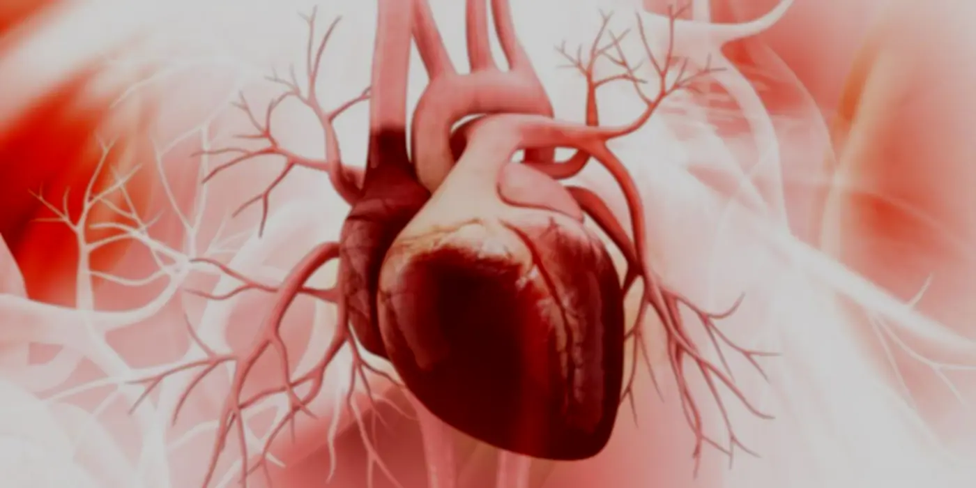 A Heart-Mind Connection: The Links Between Cardiovascular And Mental Health