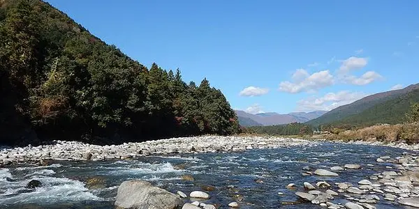 Featured Image