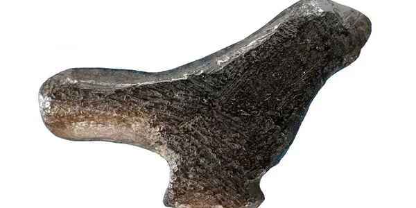 Featured Image