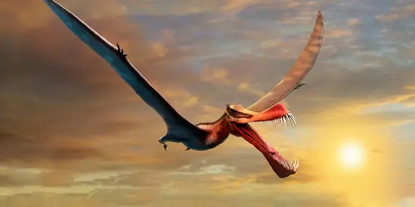Featured Image
