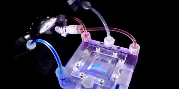 Bioprinting Pancreatic Tissues