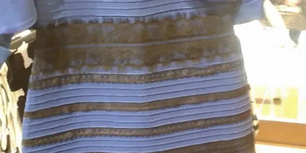 None Of Us See The Same Colors But Our Brains See Some Things In Common