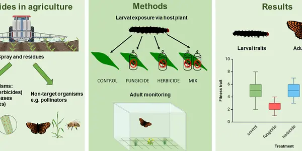 Pesticides: Environmental Threat Or Anti-Science Populism?