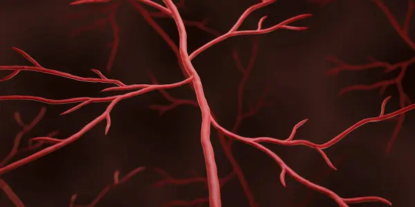 Activin-A: Muscle Weakness In Cancer Survivors May Be Treatable