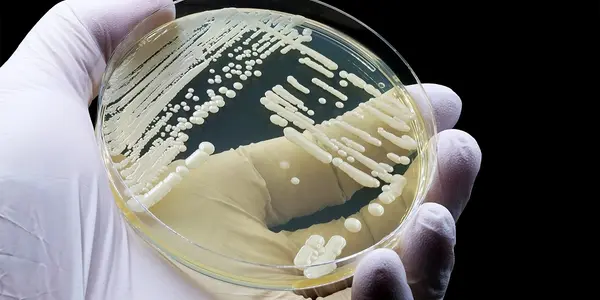 With New Acceptance Of Vaccines, The Left Needs To Rethink Pesticides Next