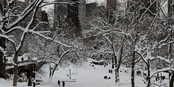 New Study Shows Shrinking Snow Coverage