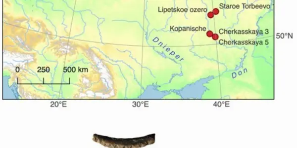 Mesolithic People Had Meals With More Tradition Than You Thought