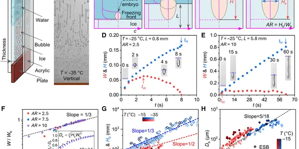 Bubbles In Ice Could Be A Future Medium For Secret Codes