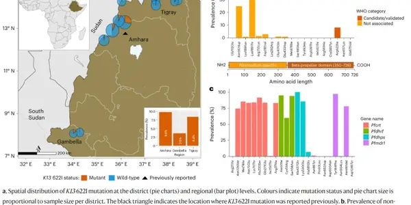 Malaria-Causing Parasites Continue To Evolve In Africa - So Must Pesticides