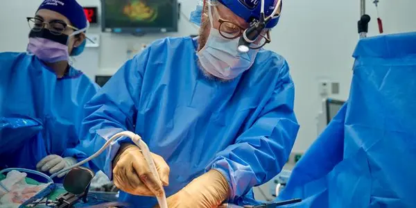 Genetically Modified Pig Kidney Shows A Roadmap For Future Human Organ Transplants