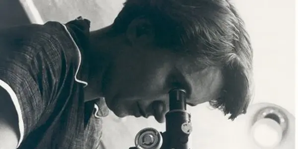 Rosalind Franklin’s Numerical Data Went Farther Than One Double Helix Picture