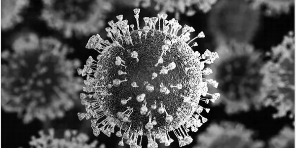 The Thorny Problem Of COVID-19 Vaccines And Spike Proteins