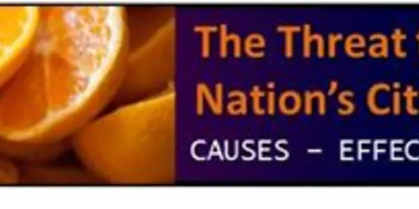 Fighting The Yellow Dragon – The War To Save Florida Citrus