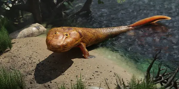 How Fish Evolved To Walk – And Then Talk