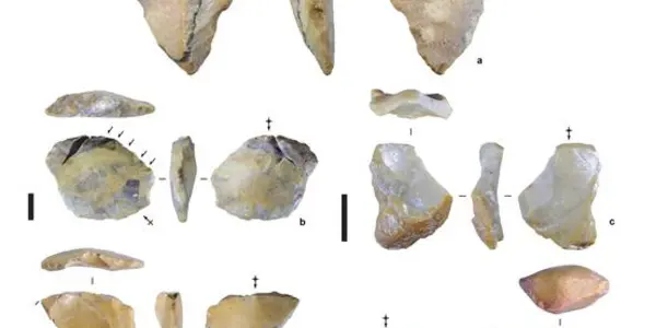 The Mysterious Humans Near ‘Hobbit’s Island'