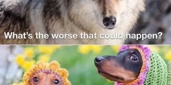Dogs Have Been 'Man's Best Friend' For 14,000 Years