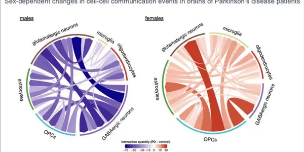 cell-cell_communication_plot_showing_how_different_brain_cells_communicate