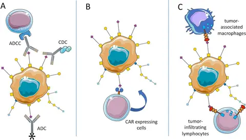 car_expressing_cells