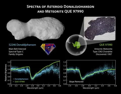 donaldjohanson_and_meteorite_que_97990