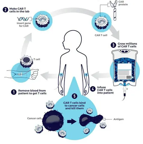 make_car-t_cells