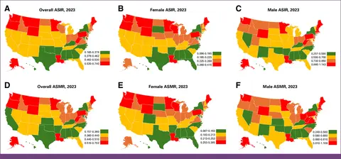 state-level_asir_and_asmr_stratified_by_sex