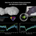 donaldjohanson_and_meteorite_que_97990