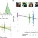 evolution_of_temporal_patterns_of_laughter_in_hominids
